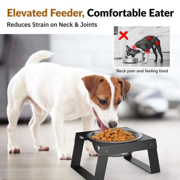 Non-slip Stainless Steel Food Water Pet Feeding Bowl