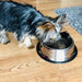 Stainless Steel Durable Pet Water Food Feeder Bowl