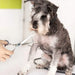 Stainless Steel Lightweight Curved Dog Grooming Scissors
