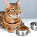 Stainless Steel No Spill Water Food Pet Feeder Hanging Cage