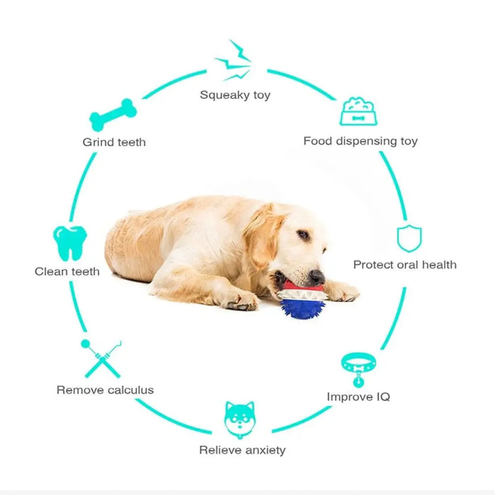 Strong Floatable Bite-resistant Squeaker Food Dispensing