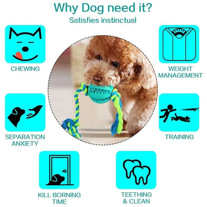 Strong Eco-friendly Treat Dispensing Teeth Cleaning Dog