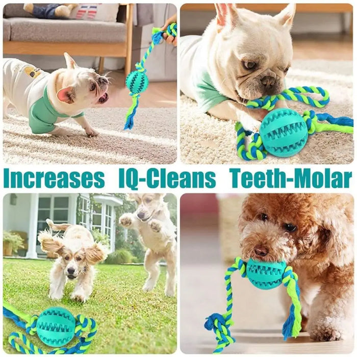 Strong Eco-friendly Treat Dispensing Teeth Cleaning Dog