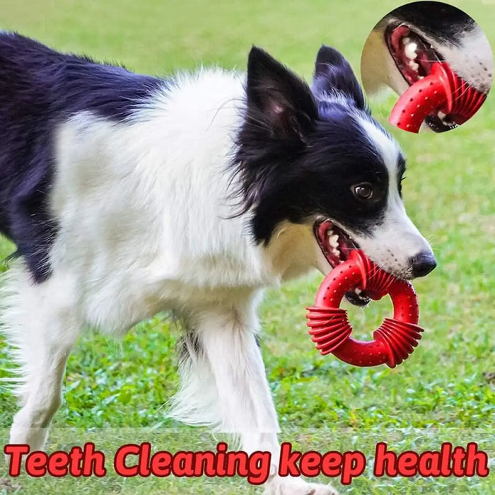 Strong Rubber Dog Chew Toy For Aggressive Chewers