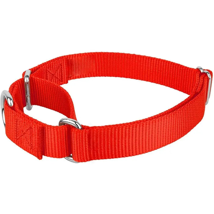 Sturdy Martingale Nylon Adjustable Soft Comfortable Pet