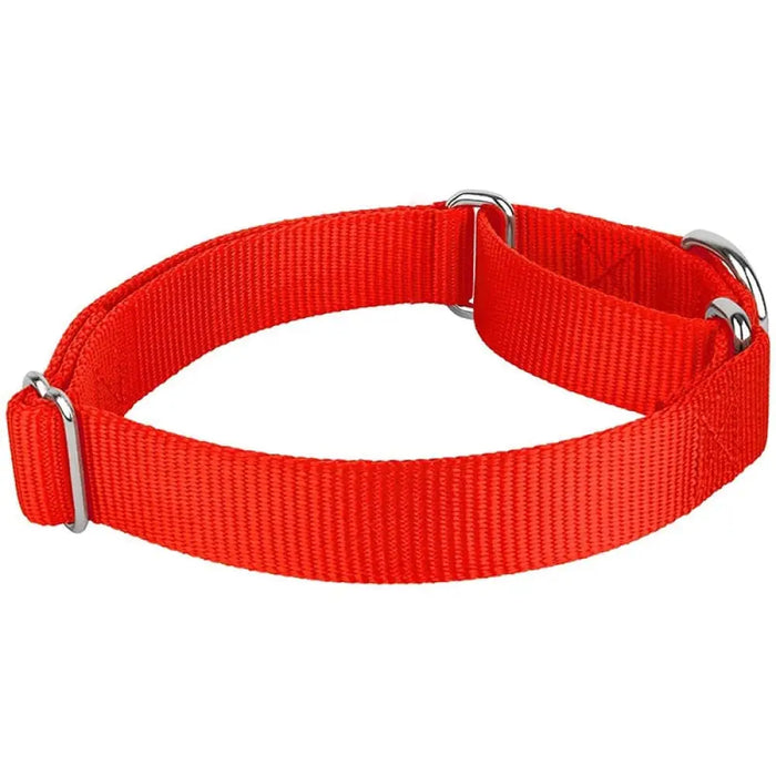 Sturdy Martingale Nylon Adjustable Soft Comfortable Pet