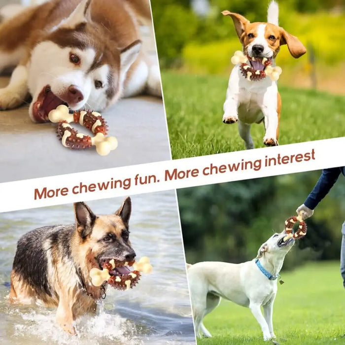 Non-toxic Durable Beef Flavor Bone Dog Chew Toy For Reduce