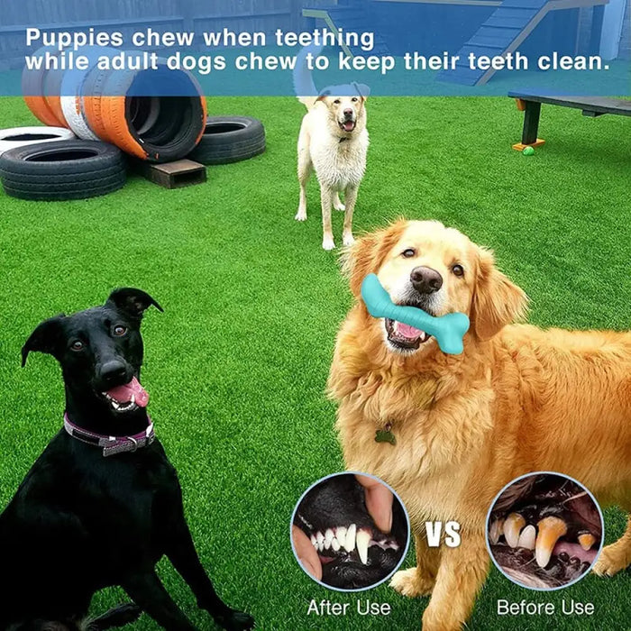 Non-toxic Rubber Squeaker Food Dispensing Dog Chewing Stick