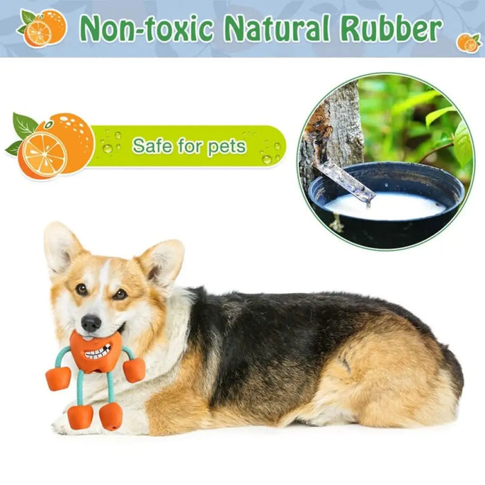 Non-toxic Rubber Squeaky Treat Dispensing Dog Chew Toys For