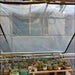 0.1mm Transparent Pe Film Garden Succulent Plant Keep Warm