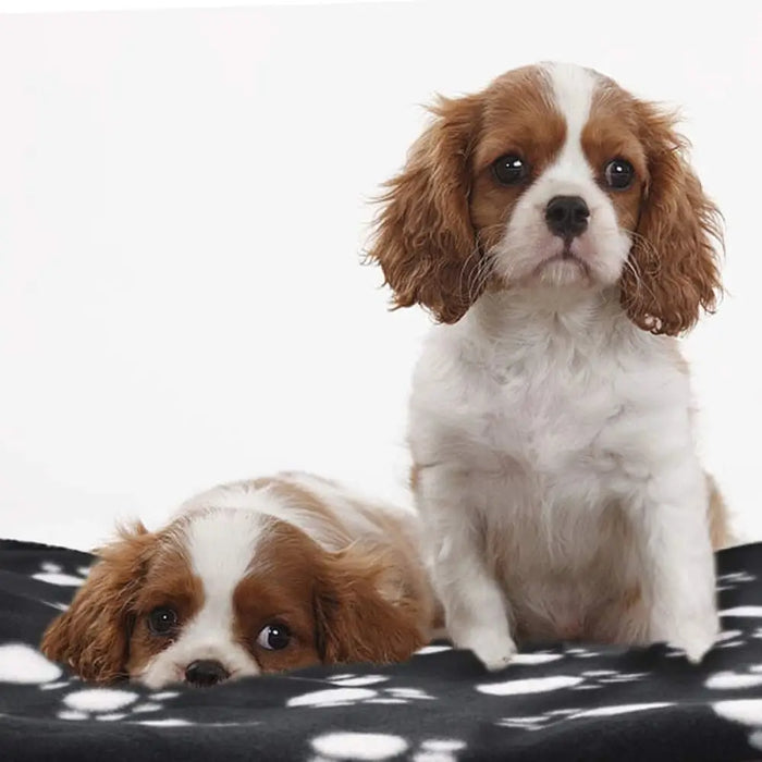 Warm Comfortable Paw Print Pet Blanket For Small Medium