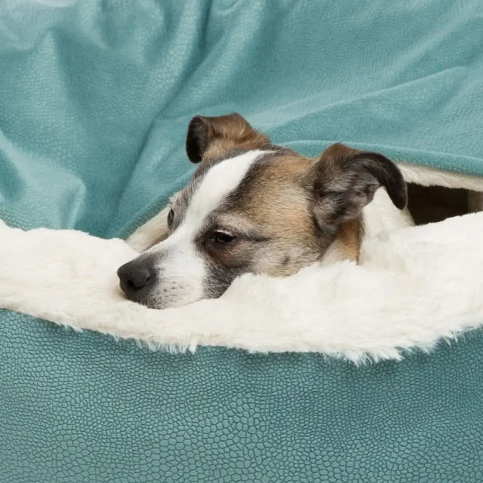 Warm Waterproof Dirt Resistant Dog Bed With Hooded Blanket