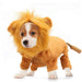 Winter Cute Cozy Lion Dog Hoodie Cosplay Dress Costume