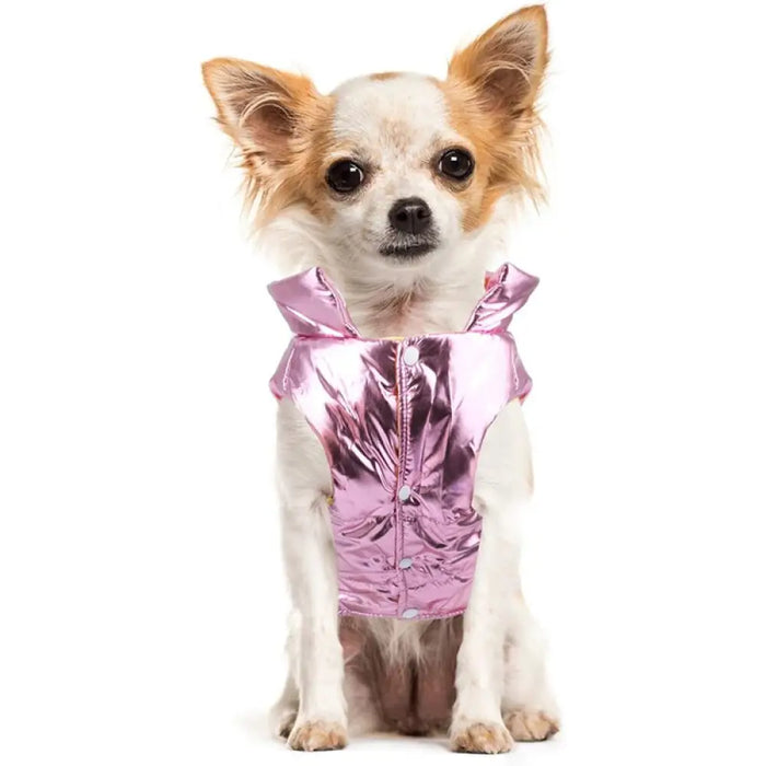 Winter Warm Cozy Cute Jacket Hoodie For Chihuahua