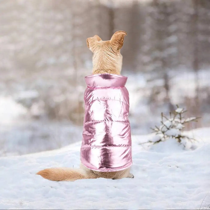 Winter Warm Cozy Cute Jacket Hoodie For Chihuahua