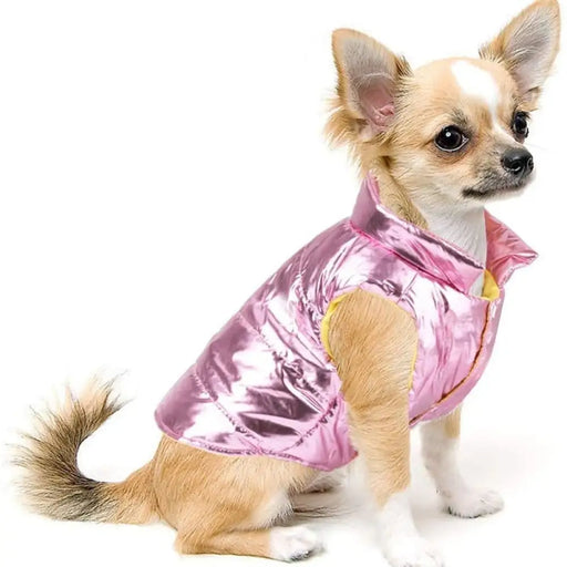 Winter Warm Cozy Cute Jacket Hoodie For Chihuahua