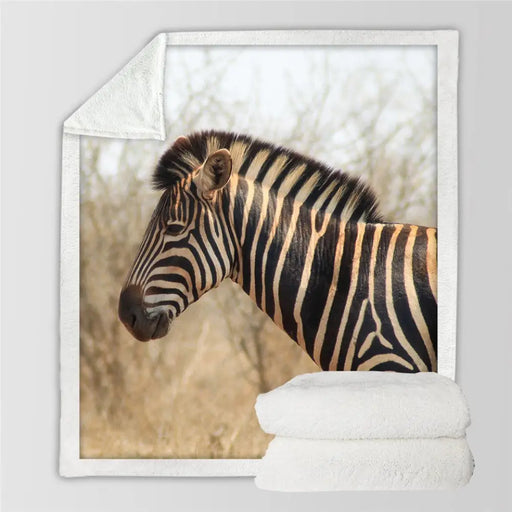Zebra Throw Blanket 3d Printed Plush Bedspread Animal Soft