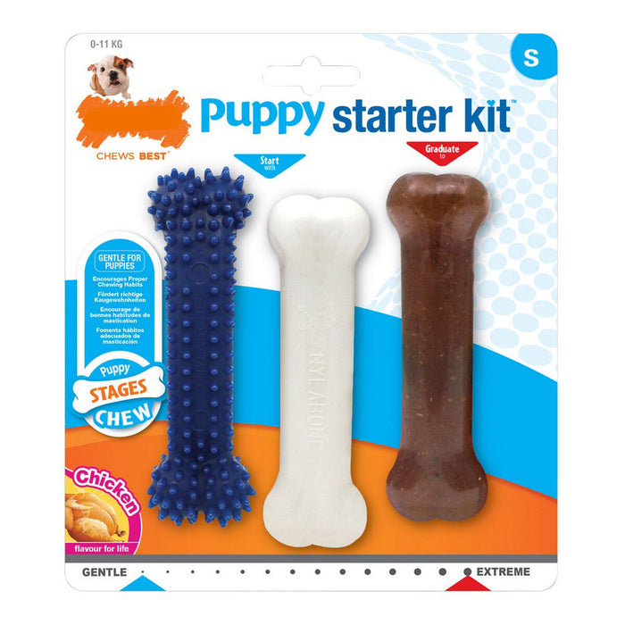 Dog Chewing Toy By Nylabone Extreme Chew Starter Kit