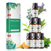 10ml Pure Plant Essential Oils 6pcs Gift Set