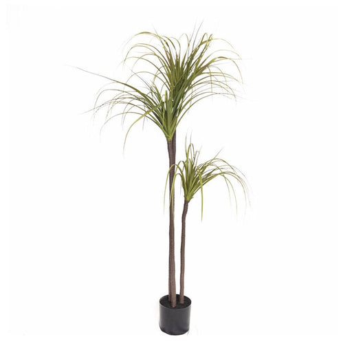 145cm Green Artificial Indoor Dragon Blood Tree Fake Plant