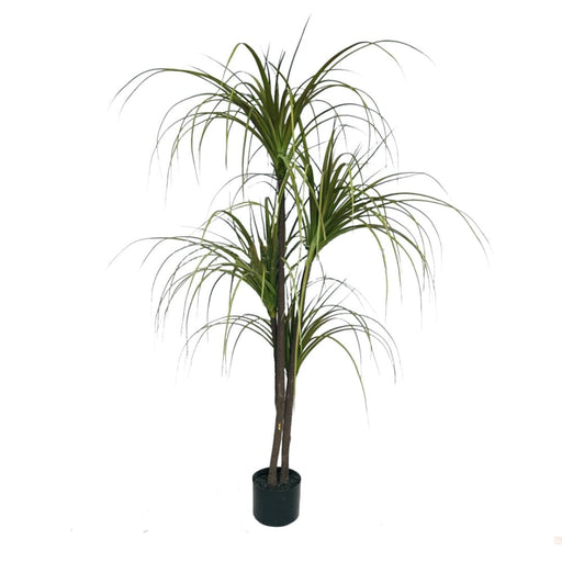 150cm Green Artificial Indoor Dragon Blood Tree Fake Plant