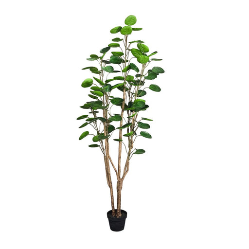 150cm Green Artificial Indoor Pocket Money Tree Fake Plant