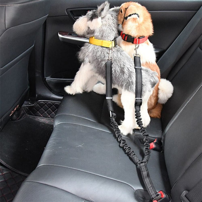2 In 1 Car Seat Belt Leash For Dogs