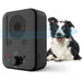 Vibe Geeks Ultrasonic Anti-barking Device With 3 Adjustable