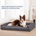 Vibe Geeks Curved Design Four Seasons Pet Sofa Bed