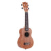 21 Ukulele 15 Frets 4 Strings Acoustic Stringed Musical-3