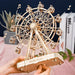 232pcs Rotatable Diy 3d Ferris Wheel Wooden Puzzle Game