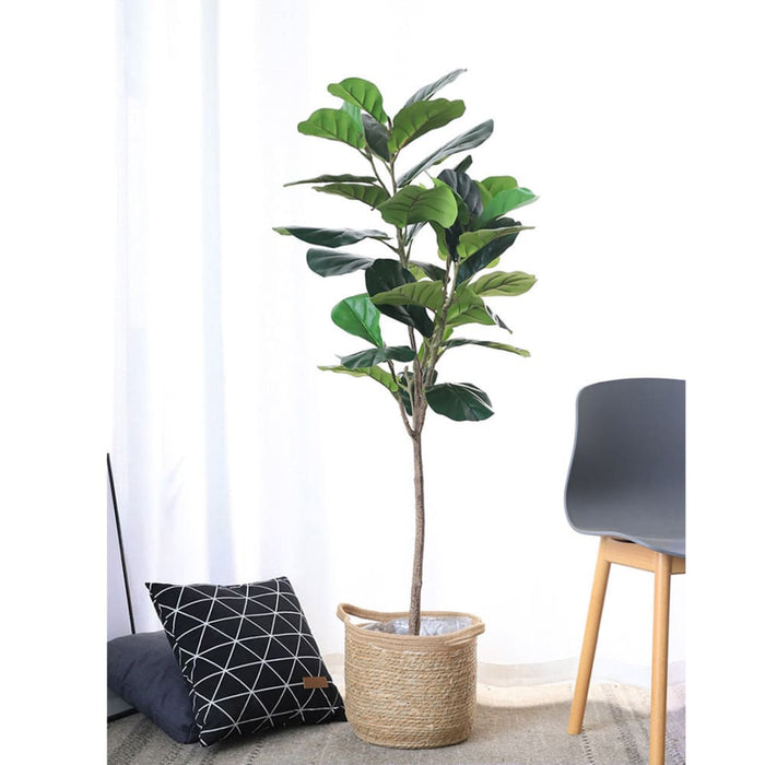 2x 155cm Green Artificial Indoor Qin Yerong Tree Fake Plant