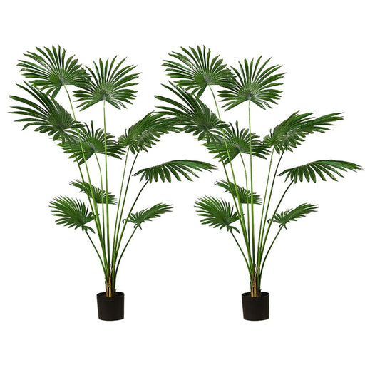 2x 180cm Artificial Natural Green Fan Palm Tree Fake
