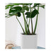 2x 70cm Tripod Flower Pot Plant Stand With White Flowerpot