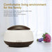 300ml Essential Oil Diffuser,premium Ultrasonic Fragrant