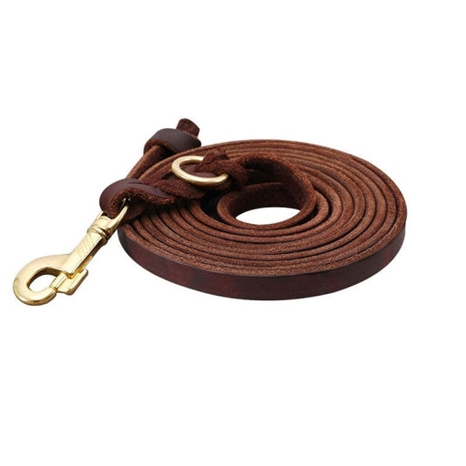 3m Braided Real Leather Dog Leash