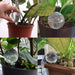 4pc 6pc Dispenser Gardening Pot Planters Watering Tools