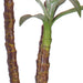 4x 150cm Artificial Natural Green Dracaena Yucca Tree Fake