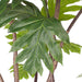 4x 150cm Artificial Natural Green Split-leaf Philodendron