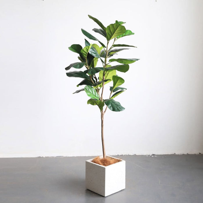 4x 155cm Green Artificial Indoor Qin Yerong Tree Fake Plant