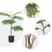 60cm Artificial Natural Green Split-leaf Philodendron Tree