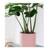 80cm Tripod Flower Pot Plant Stand With Pink Flowerpot