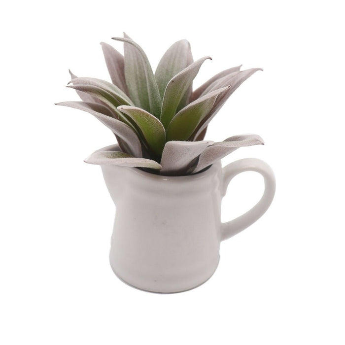 Decorative Plant Versa Ceramic Plastic 11.43 x 11.94 Cm