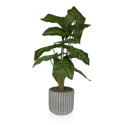 Decorative Plant Versa 15 x 53 Cm Cement Plastic