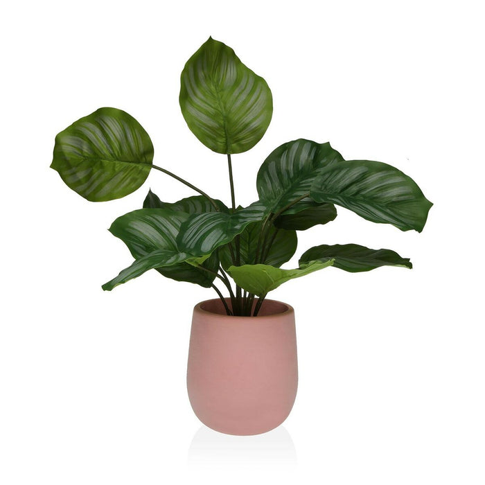 Decorative Plant Versa 15 X 44 X 15 Cement Plastic