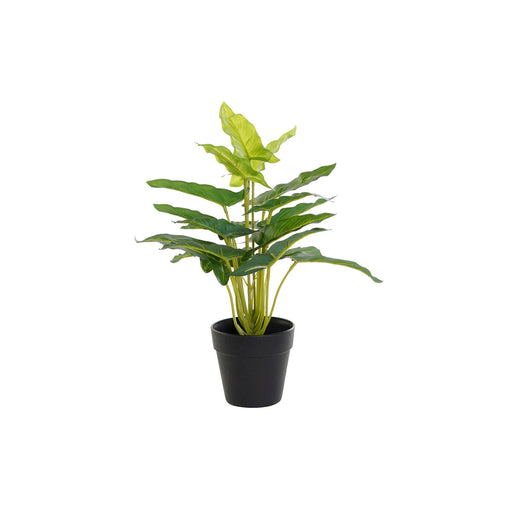 Decorative Plant Dkd Home Decor Pvc Polypropylene 25 x 30 Cm