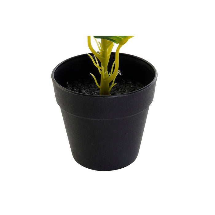 Decorative Plant Dkd Home Decor Pvc Polypropylene 25 X 25 X 30 Cm