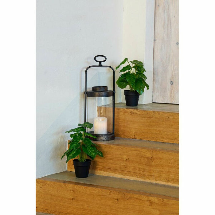 Decorative Plant Dkd Home Decor Pvc Polypropylene 20 X 20 X 30 Cm