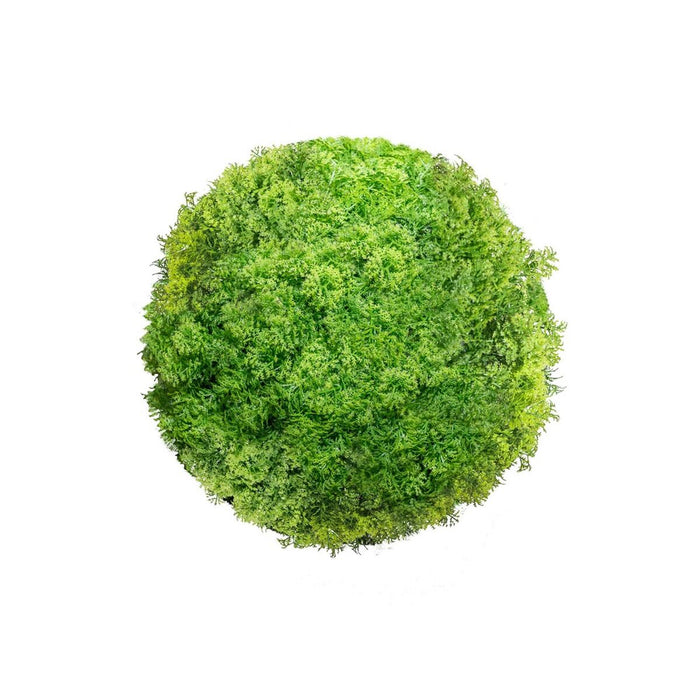 Decorative Plant   Ball Moss 20 X 20 X 20 Cm