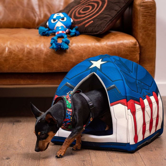 Dog Toy By The Avengers Blue 13 x 10 x 20 cm